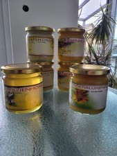 Probierset 6x500g Honig!!! 2 x Raps, 2 x Linden, 1 x Sonnenblumen, 1 x Akazien