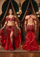 NEW Professional Belly Dance Costume Egyptian Oriental Belly Dancing