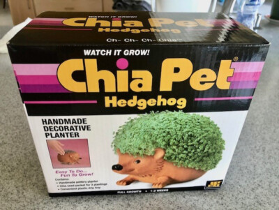 Chia Pet Hedgehog Handmade Decorative Planter