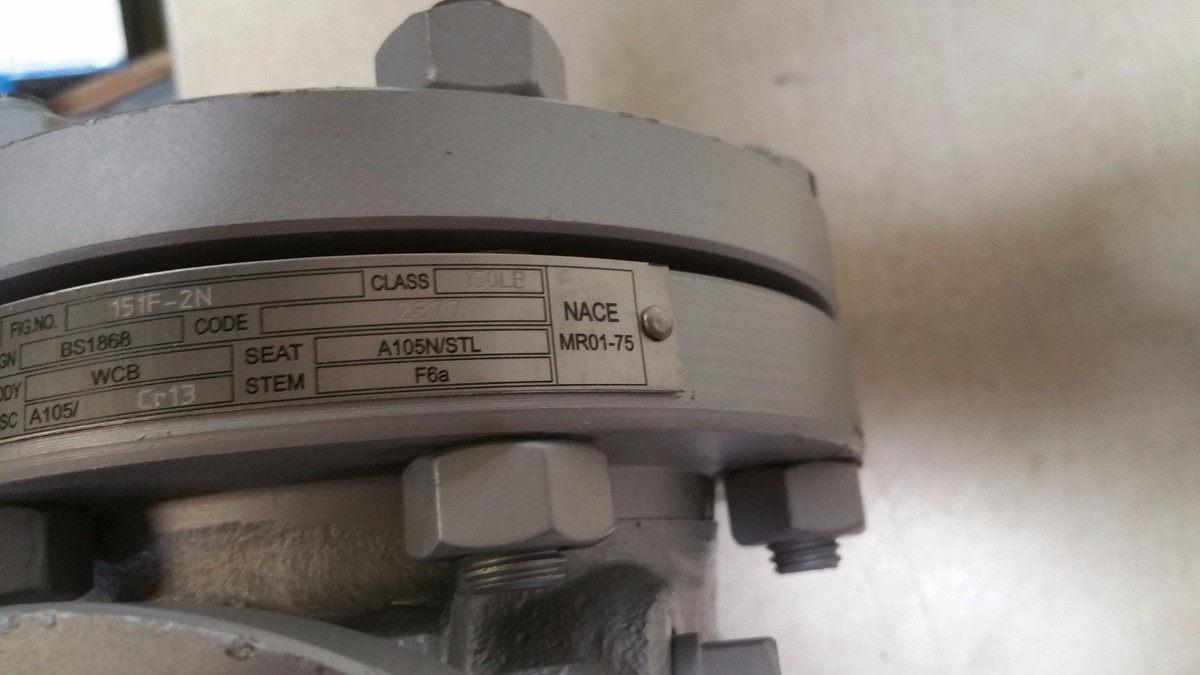 Williams Swing Check Valve 2