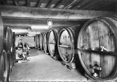SAINT LAGER Pub Card La Cave du Mas Cru noble du Beaujolais Brouilly et Village