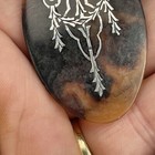 Picture 5 of 14