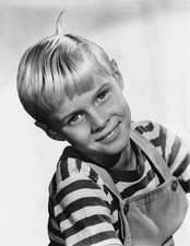 Jay North As Dennis The Menace Classic Television Show Picture Photo 8x10