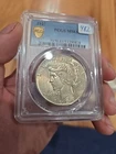 1927-P Peace Dollar PCGS MS63 Nice Eye Appeal Nice Strike Gold Shield