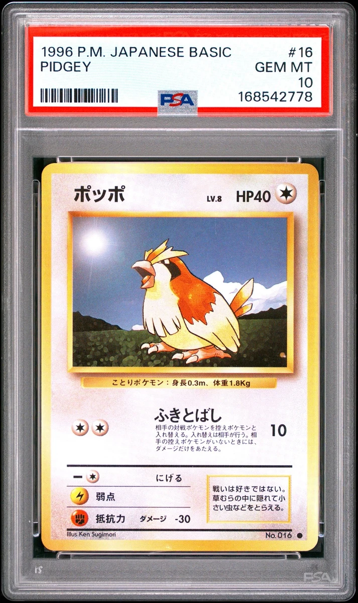 Pidgey