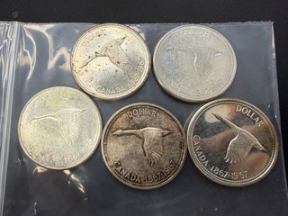 Lote de un dólar Canadá plata 118g lote 1709