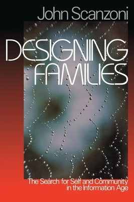 Designing Families The Search for Self and Community in the Information Age Buch
