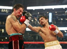 MANNY PACMAN PACQUIAO BOXING WARRIOR ~ 8X10 PHOTO
