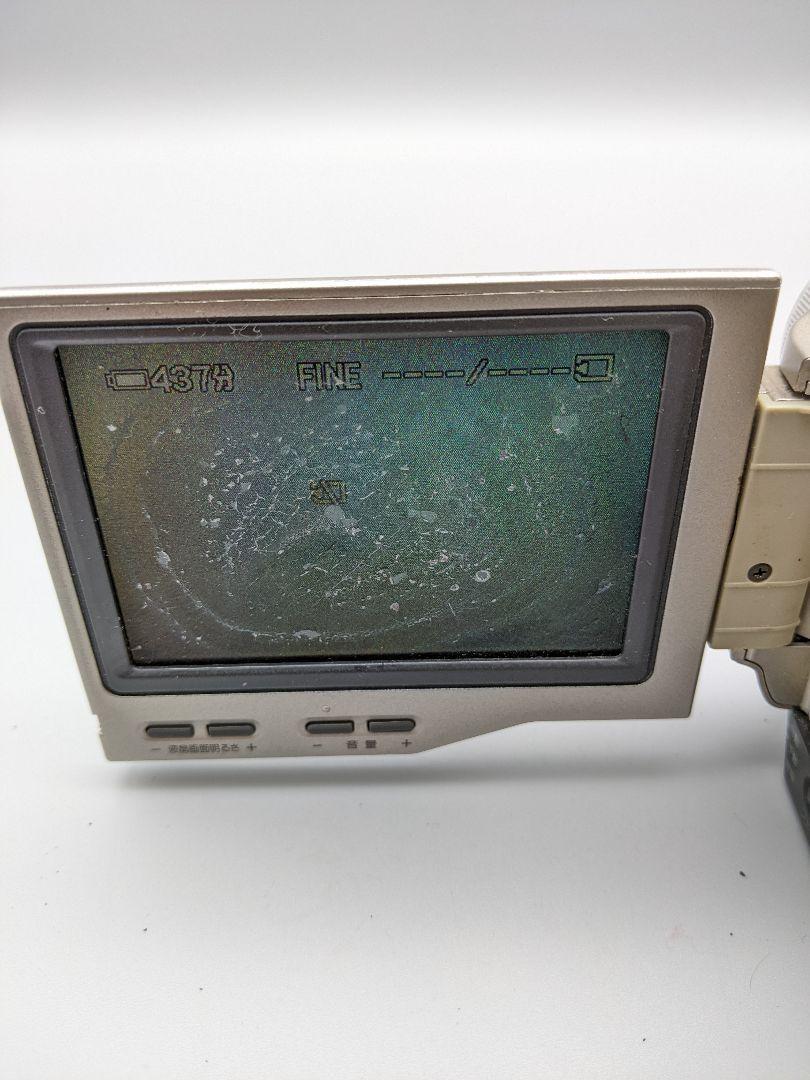 SONY DCR-TRV10 Handycam Digital Video Camera MiniDV