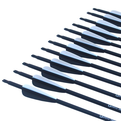 Flechas de carbono Archery de 28"30"31" Spine500 para arco compuesto recurvo tiro caza - Imagen 6 de 10