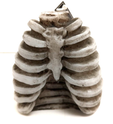 Halloween  HUMAN RIBS Candle Bleeds RED Flowing Wax Party Spooky Decor 4.5''