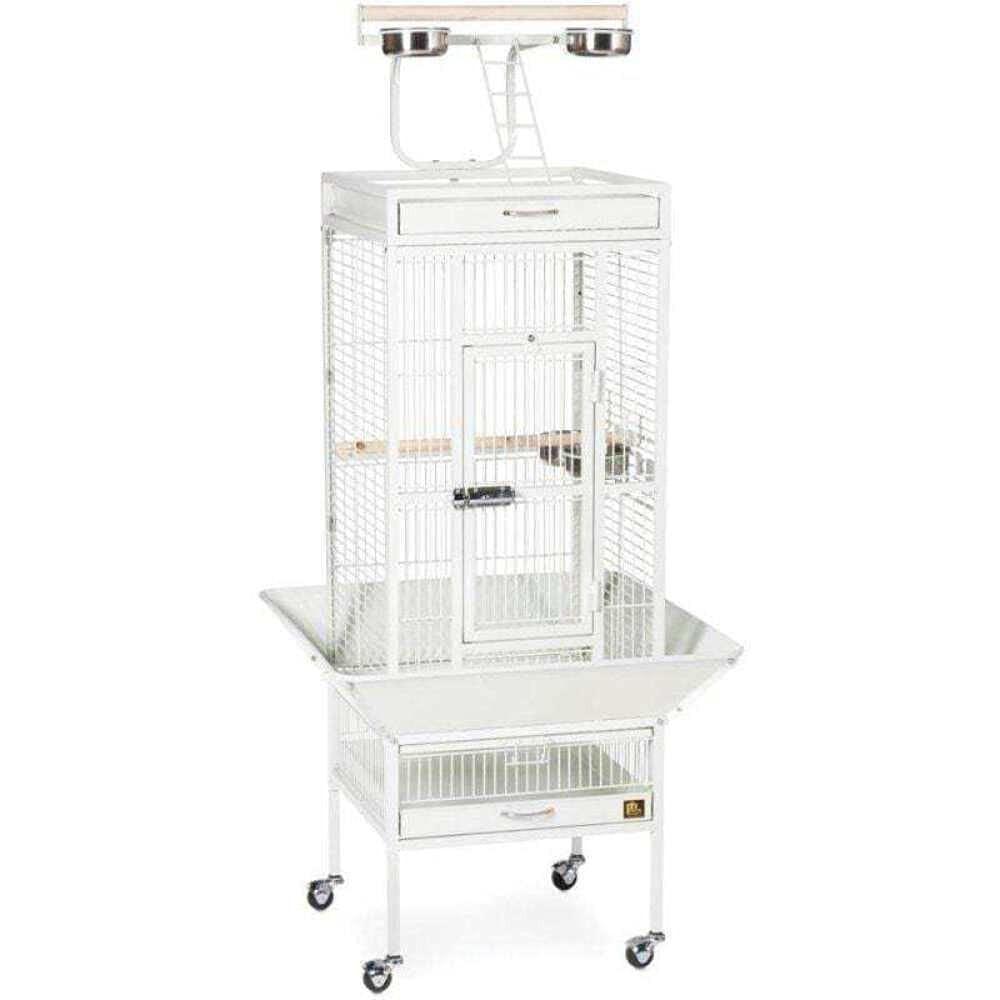 Prevue Hendryx 3151C Pet Products Wrought Iron Select Bird C