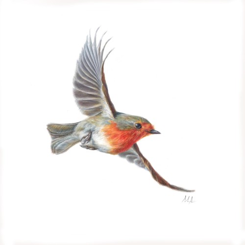 ORIGINAL Watercolour Painting "Robin in Flight" 9"x9" Bird by Mila Ansell - Picture 2 of 4