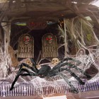 Foto 10 di 59