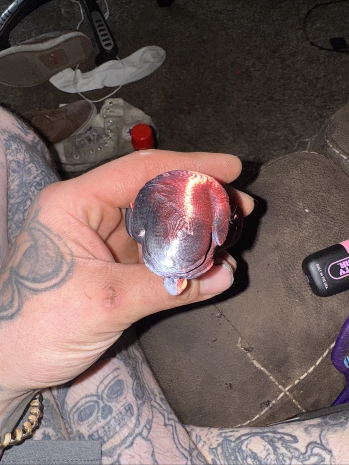 Mr Beans multicolor impreso en 3D Foto 4 de 4