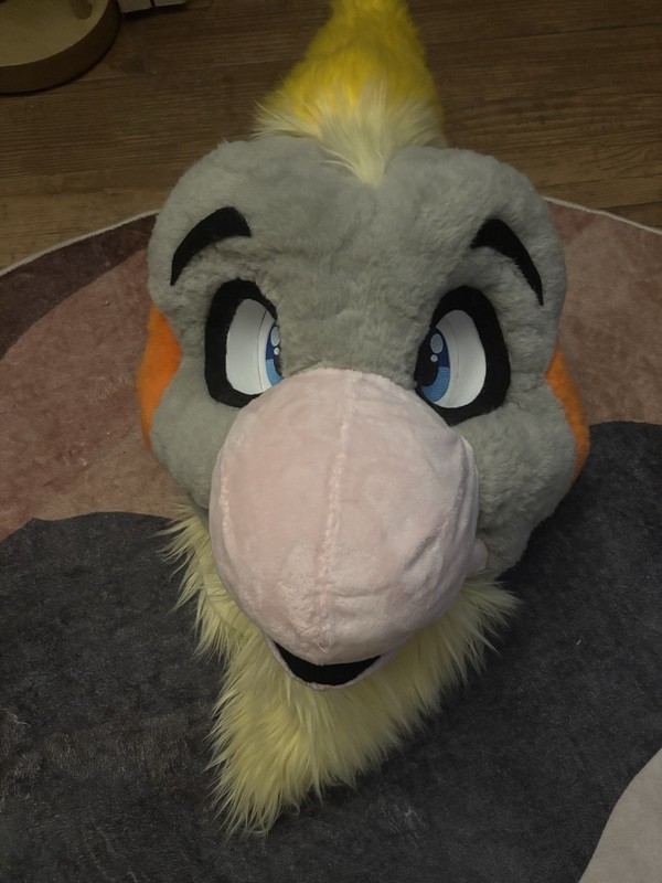 Fursuit Bird Head w/ Paws & Tail