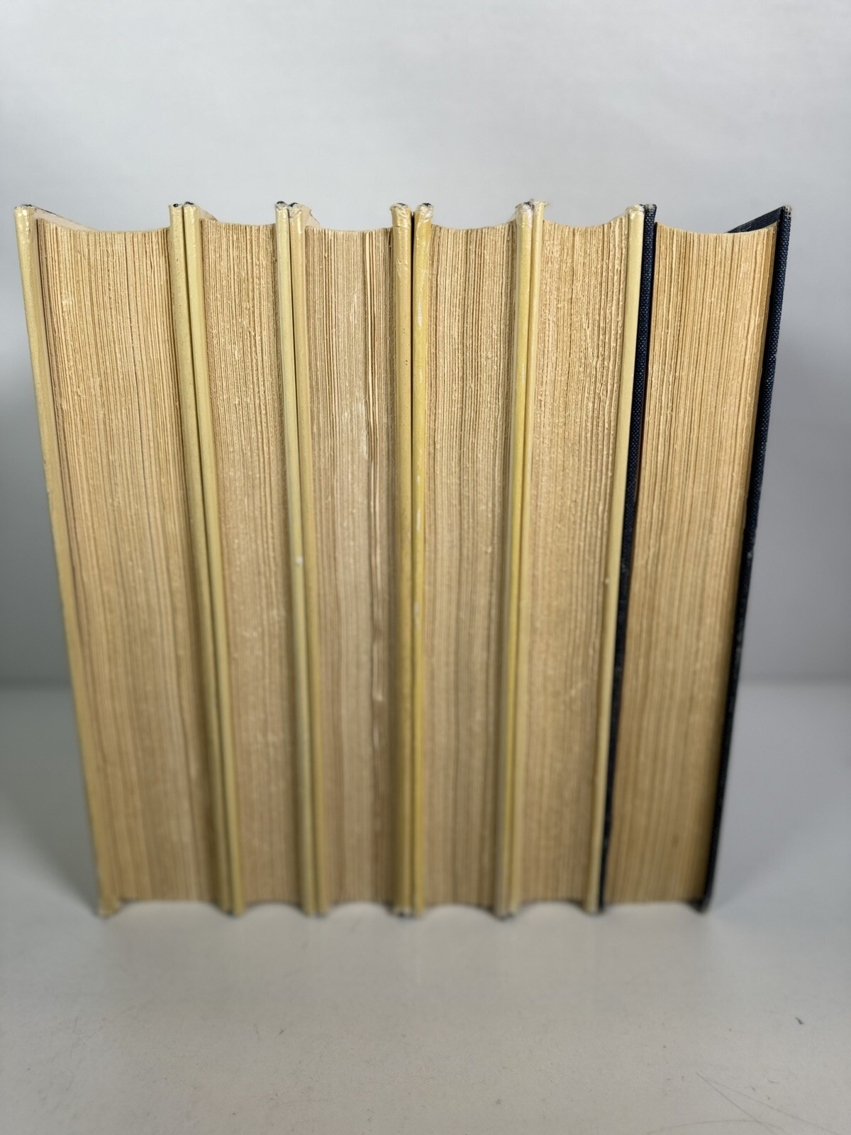 Lot Of 6 The Anchor Bible Commentary Books Doubleday Old Testament Vtg