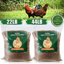 22/44 LBS Bulk Dried Mealworms for Wild Birds Food Blue Bird Chickens Hen Treats