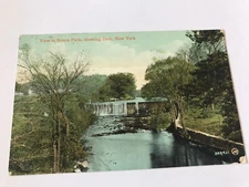View in Bronx Park showing Dam New York NY Postcard
