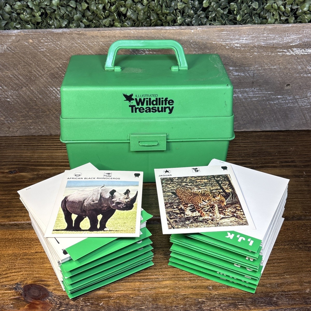 専用です☆当時物USAヴィンテージカード ベビー③⑩＆フラワー①＆アニマル⑧⑨ Illustrated Wildlife Treasury Animal Collection Green Box 400+