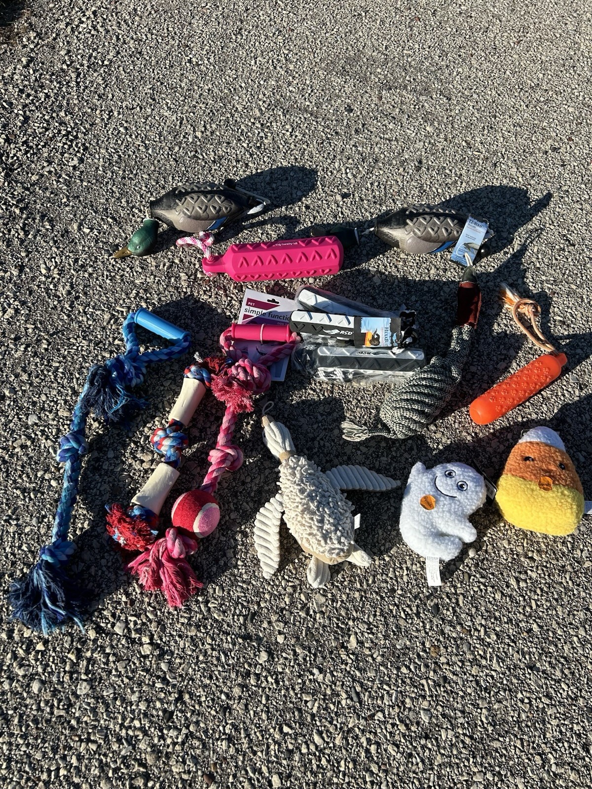 Brand New Dog Toys