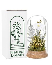 Preserved in Glass Dome, Real Eternal Flowers Gifts for Women, Daisy White