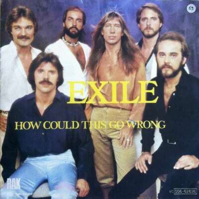 Exile - How Could This Go Wrong 7'' Single Vinyl Schallplatte 16947