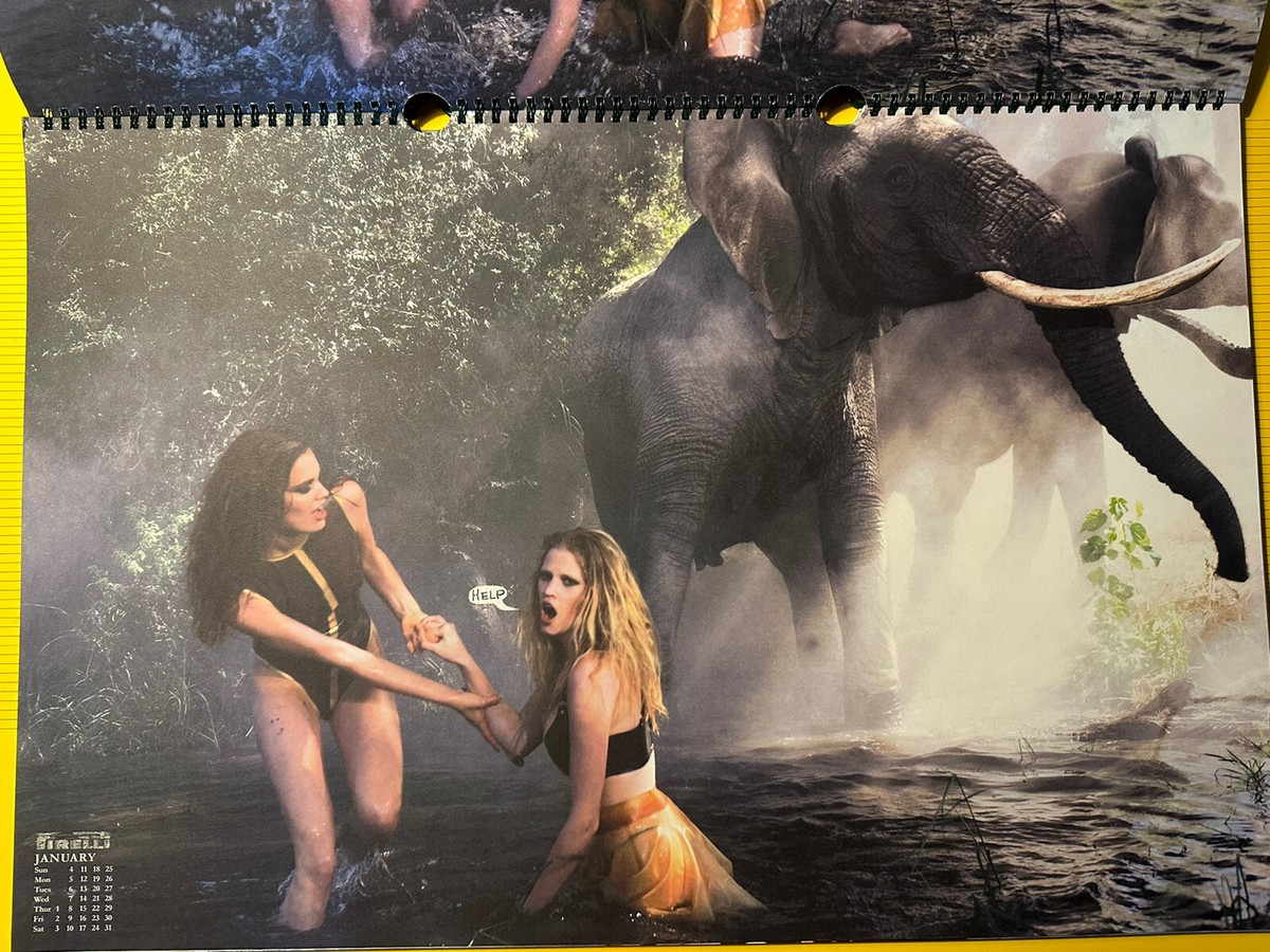 Peter Beard カレンダーPirelli 2009 Pirelli Calendar 2009 by Peter Beard (Pirelli Calendar)