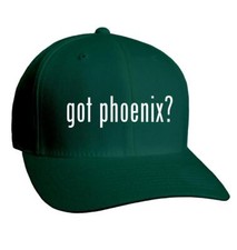 got phoenix? - Adult Baseball Cap Hat NEW RARE