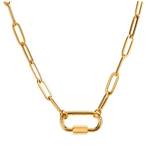 Carabiner Necklace | eBay