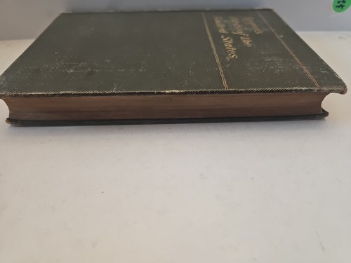 1898 antikes Buch Apgars Vögel der Vereinigten Staaten östlich der Rocky Mountains - Bild 4 von 8