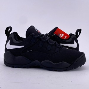 Nike Sb Darwin Low | eBay