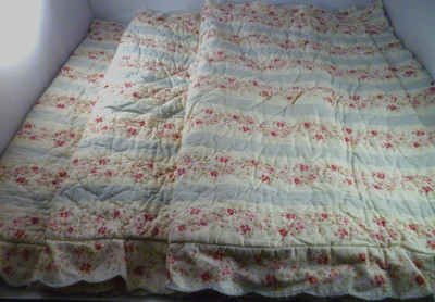 3 Pcs Simply Shabby Chic Pillow Shams Ruffle Blue White Stripe Pink Rose Cotton