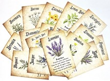 PLANT & HERB LORE 18 BEAUTIFUL REFERENCE CARDS TRADITIONAL ARTWORK