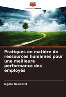 Pratiques En MatièRe De Ressources Humaines Pour Une Meilleure Performance...