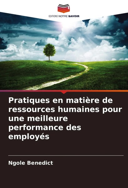 Pratiques En MatièRe De Ressources Humaines Pour Une Meilleure Performance...-image