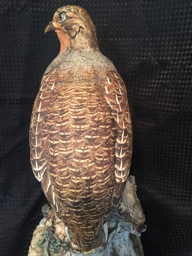 Tay Italy GREY PARTRIDGE Berries 11.5" tall GIUSEPPE TAGLIARIOL Ltd Ed 158/500 - Picture 16 of 24