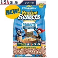 Shelled Peanuts Wild Bird Wildlife Feed 5lb High Energy Protein Squirrel Food US