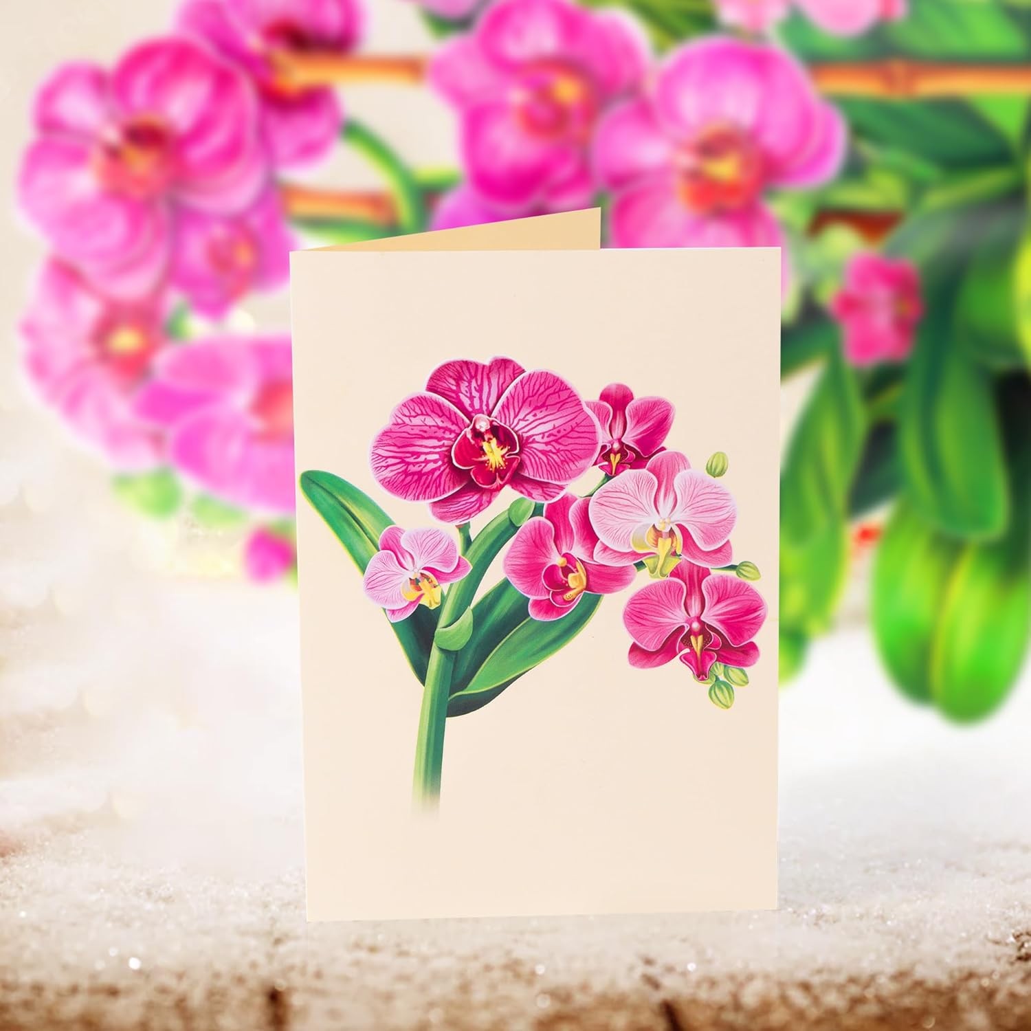 Airpark Pop Up Flower Card, 3D Paper Flowers Bouquet – 14" Orchids, Pink 