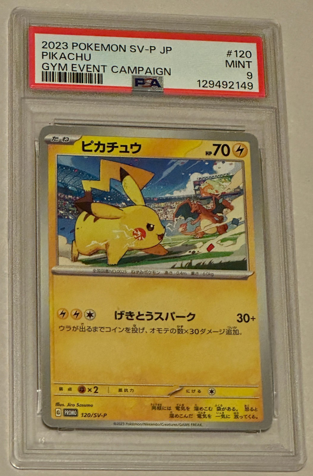 Pikachu 2023 Japanese SV-P Promo #120/SV-P Gym Event Campaign