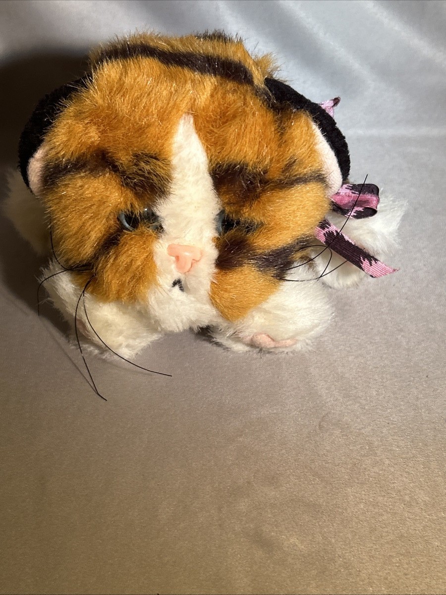 Kitty Kitty Jungle Kittens Purring Tiger Striped Orange Kitten