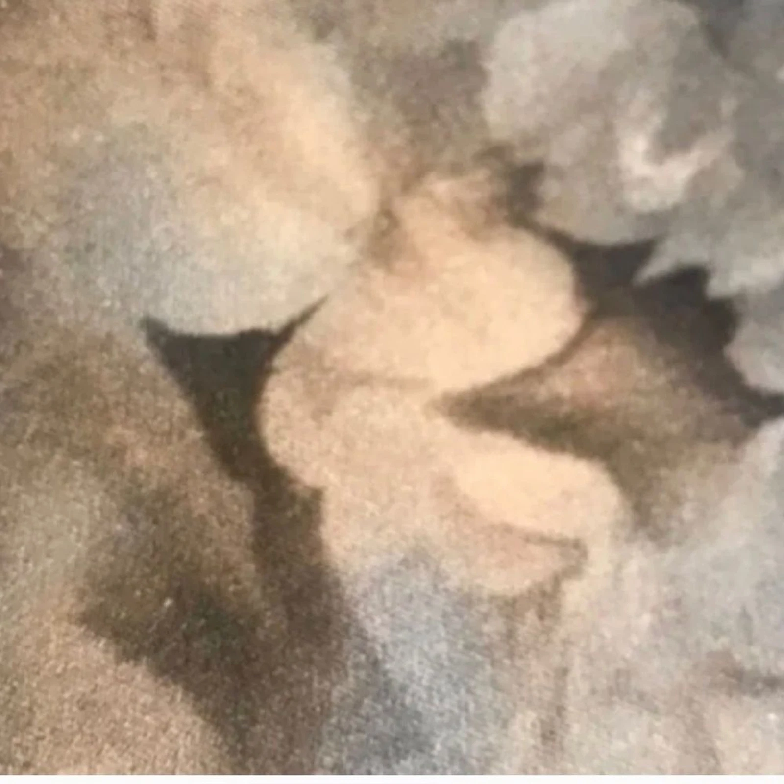 Abito da giardino Valentino secrect taglia 4 nuovo senza etichette