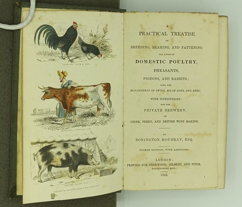 MOUBRAY ON POULTRY by Bonington Moubray, 1842, Illustrated, Early Husbandry - Picture 2 of 7