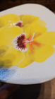Video 1 of 1