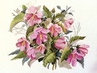 Ginger & Spice ROSE MALLOWS Cross Stitch Pattern Leaflet Only OOP ~ flowers — photo 2