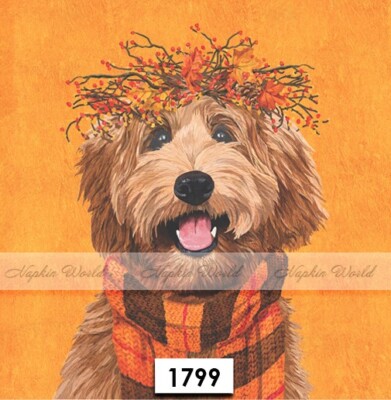 (1799) TWO Paper LUNCHEON Decoupage Art Craft Napkins - DOODLE DOG CANINE AUTUMN