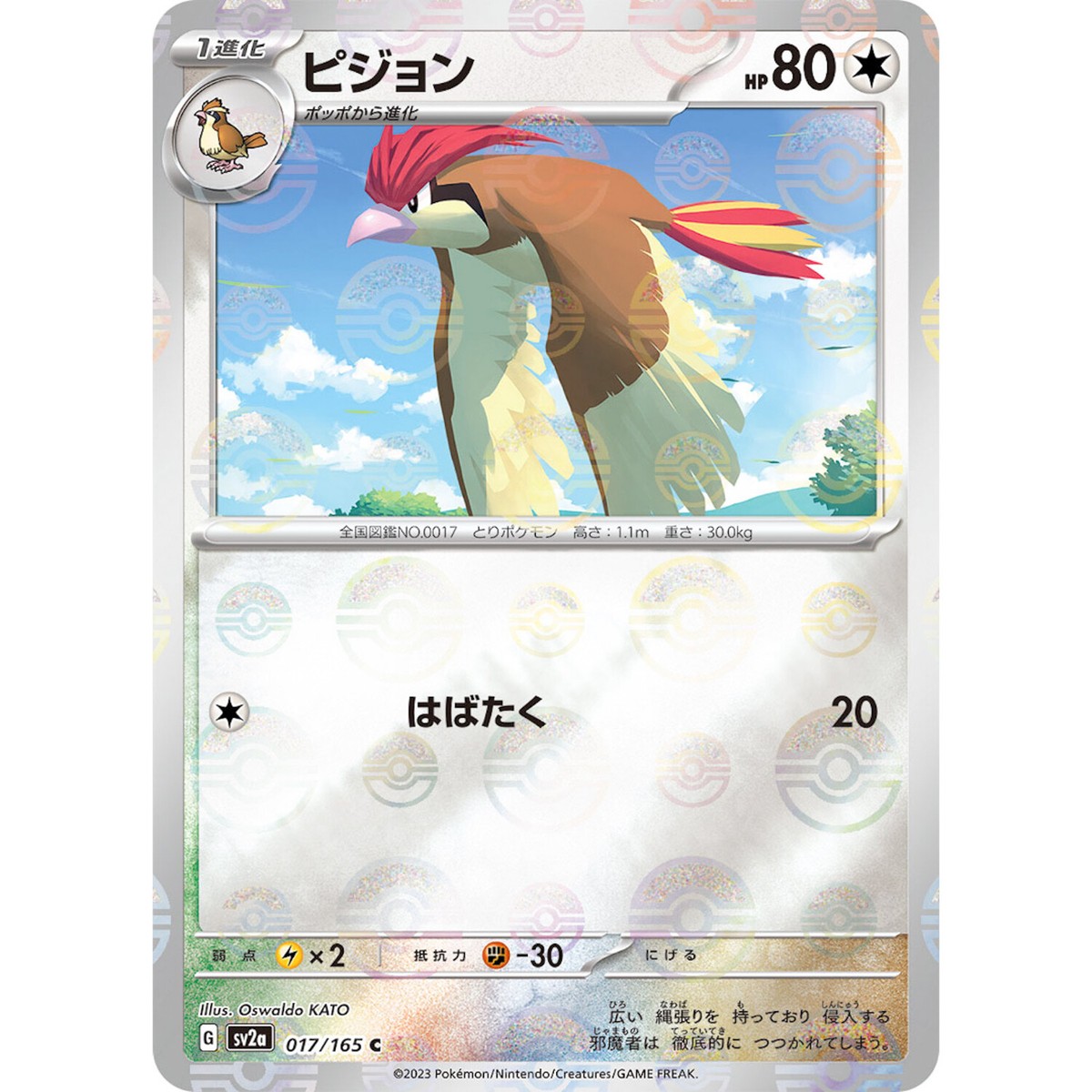 Pidgeotto (Reverse Holo) C 017/165 SV2a Pokémon Card 151 - Pokemon