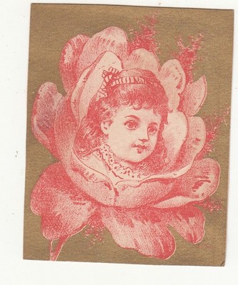Girl's Face in Red Flower Gold No Advertising Vict Card c1880s