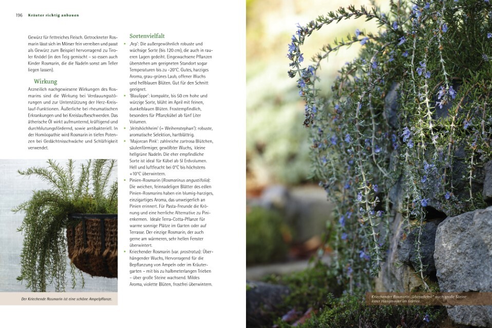 Thumbnail - Kräuter Richtig Anbauen Andrea Heistinger