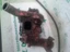 Imagen 3 de 3